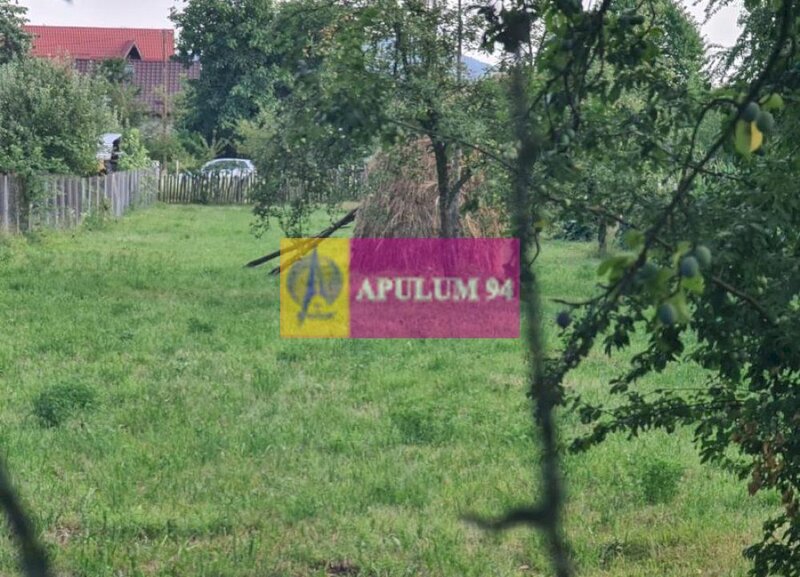 Teren de vanzare in Brebu - Zona Brebu Manastirei